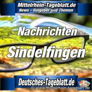 Sindelfingen - NES-Pilzexkursion mit Pilzsachverständigen Andreas Hohmann am 25. Oktober - Mittelrhein Tageblatt