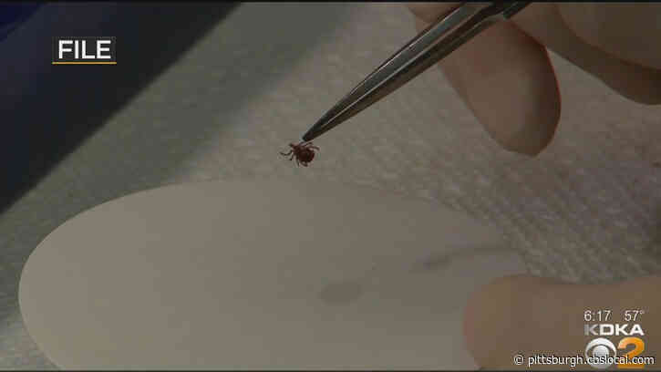 Outdoor Preparedness: Late Fall Is Prime Time For Tick Bites