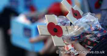 Ross Kemp on why buying a Poppy matters 'more than ever' - and how to get one