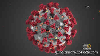 Coronavirus In Maryland: 743 New COVID-19 Cases Reported, Hospitalizations Down Slightly - CBS Baltimore