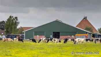 Common Agricultural Policy to remain part of EU's biodiversity funding, despite criticism