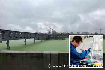 London sewage checked for signs of coronavirus
