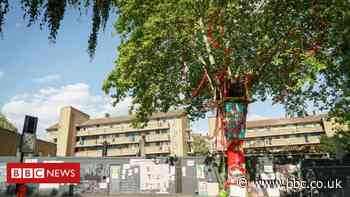 Tree of the Year: Hackney tree set to be felled wins award