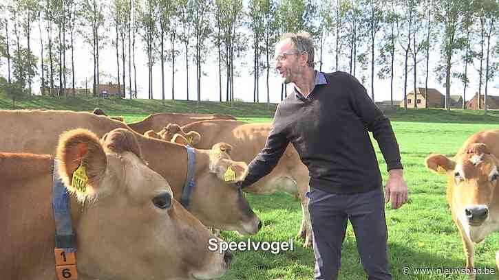 Melkveehouder uit Sint-Gillis-Waas wint innovatiecampagne met Jersey-melk