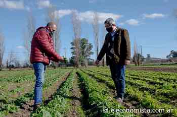 Buscan incrementar en Brasil la presencia de alimentos producidos en Buenos Aires - El Economista