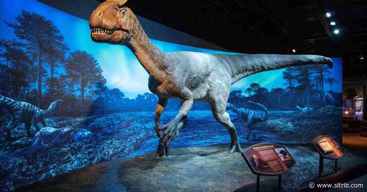 ‘Antarctic Dinosaurs’ will go on display at Natural History Museum of Utah