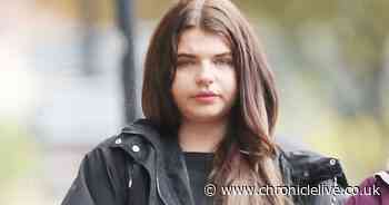 Pitbull mauled four people weeks after police deemed it safe to return to owner