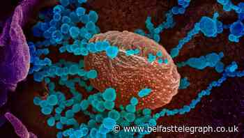 Northern Ireland woman in infection survey not told she had Covid for three weeks