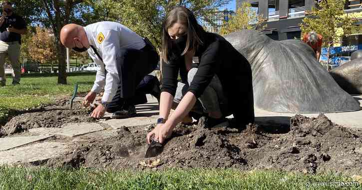 Week Without Violence provides sobering reminder of the devastation of domestic violence