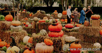 Halloween’s Not Canceled: Here’s How to Make It Spooky but Safe