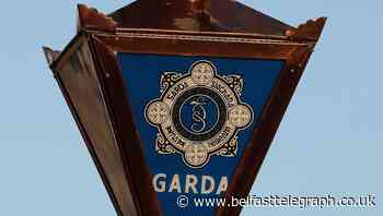 Eleven arrested after gardai intervene in anti-lockdown protests