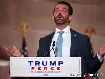 Don Jr ripped to shreds for claiming he worked his way to top