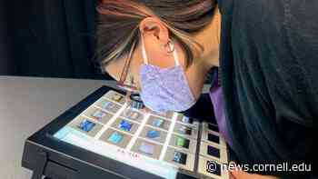 Digitization grants awarded to Arts and Sciences projects | Cornell Chronicle - Cornell Chronicle