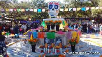 Jamestown Arts Center to offer Day Of The Dead Workshop - What'sUpNewp