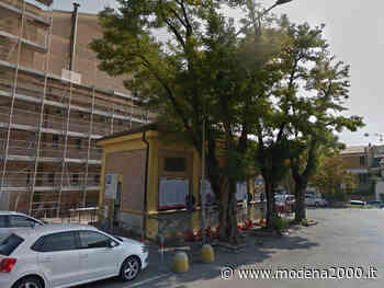 Mirandola: presto l'abbattimento delle tre robinie in piazza Marconi - Modena 2000