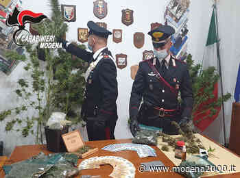 Fuma marijuana per trovare ispirazione, giovane musicista arrestato a Carpi - Modena 2000