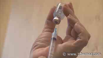 Houston County Schools and health department offer free flu shots for students and staff - 13WMAZ.com