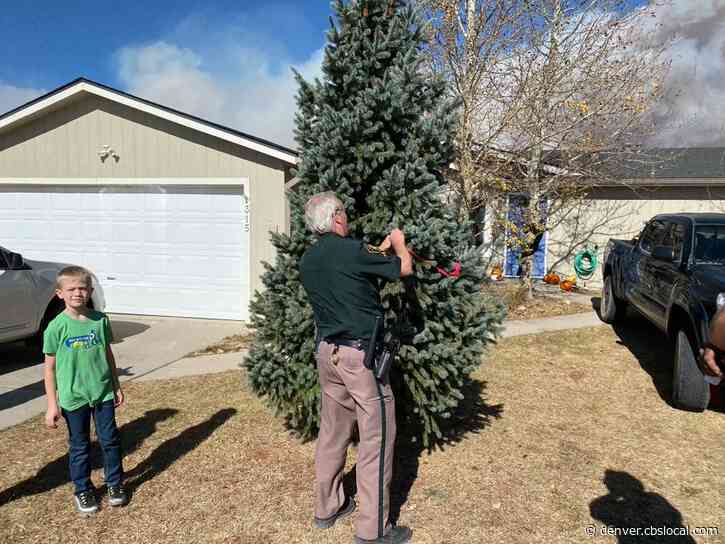 Granby news NewsLocker