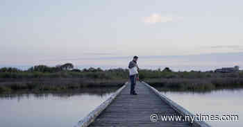 Artists in Isolation Make a New Window on the World