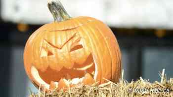 How to have a waste-free Halloween