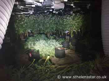 Two arrested and more than 1600 cannabis plants seized in St Helens - St Helens Star