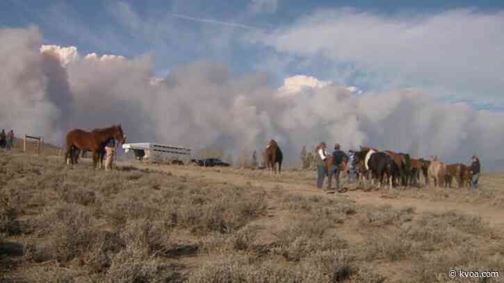 Horses evacuated as Colorado wildfire grows