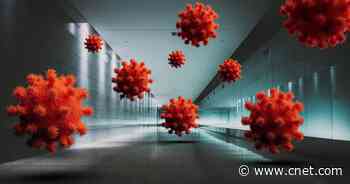 The coronavirus is airborne -- what that means for you     - CNET