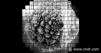 See the first photos from the world's largest digital camera video     - CNET