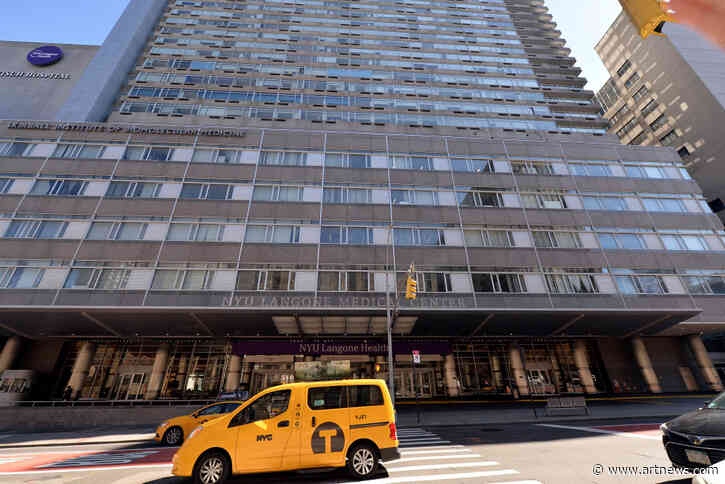 NYU Will Remove Sackler Name from Graduate Institute, Deana Lawson Wins Hugo Boss Prize, and More: Morning Links from October 23, 2020