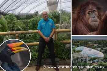 Look inside the restored Monsoon Forest at Chester Zoo