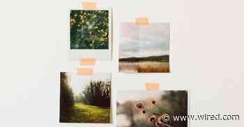 The 5 Best Photo Printing Services