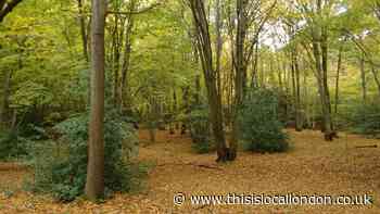 Hillingdon pays £88,000 to buy extra land at Ruislip Woods