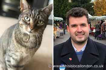 REOPEN CROYDON CAT KILLER INVESTIGATION, MP URGES POLICE