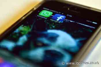 Facebook will soon charge merchants for WhatsApp Business services
