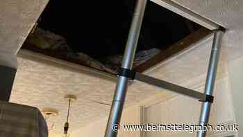 Man wanted by police for two years discovered hiding in south Belfast attic