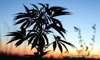 Rwanda Enters Medical Marijuana Export Market - Law.com