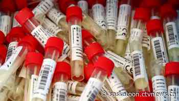 COVID-19 alerts issued for businesses in Saskatoon, Prince Albert, Martensville, Lloydminster and Shellbrook