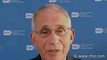 Dr. Fauci Says He Doesn't Have President's Ear as COVID Stats Soar