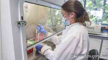 AstraZeneca, Johnson & Johnson coronavirus vaccine trials to resume in US - SBS News