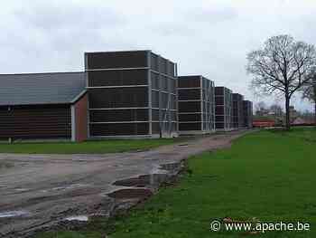 Minister Demir weigert bijkomende kippenstal in Wuustwezel - Apache