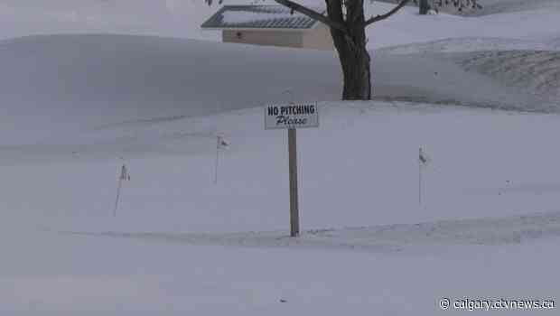 Calgary added in snowfall warnings, 10 to 20 cm expected in the city