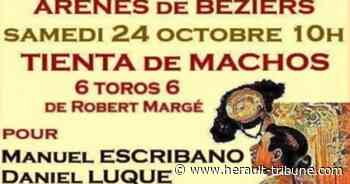 BEZIERS - Journées taurines 2020 : La Tienta de Machos du 24 octobre 2020 est maintenue aux arènes - Hérault-Tribune