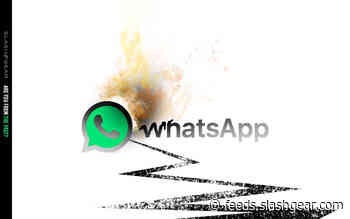 WhatsApp mute chat forever because it’s Facebook all over again