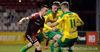 Crusaders 1-0 Cliftonville: Jordan Owens goal seals North Belfast derby win at Seaview - Belfast Live