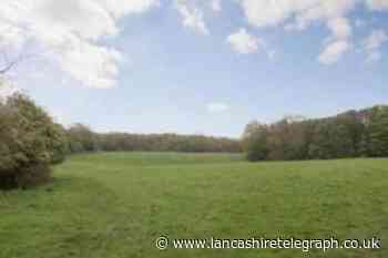 Where do our MPs stand on green belt issues?