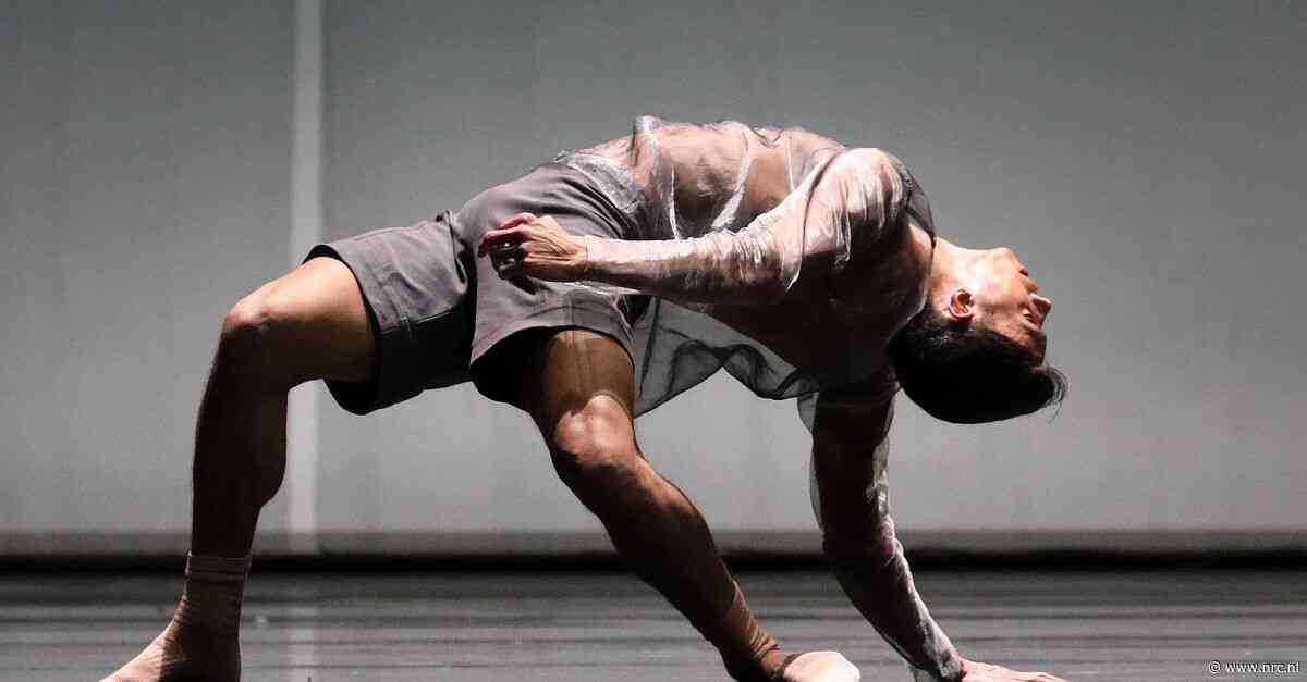 Het Nationale Ballet danst met onverdroten overtuiging - NRC