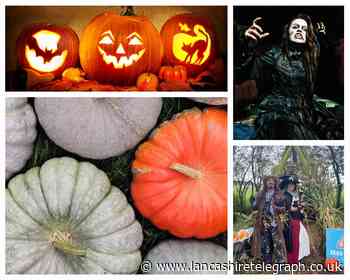 The Blackburn pumpkin farm you need to visit this Halloween