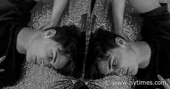 Everyone Is Gay on TikTok