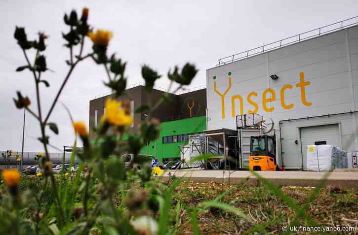 French start-up Ynsect to build world's biggest bug farm