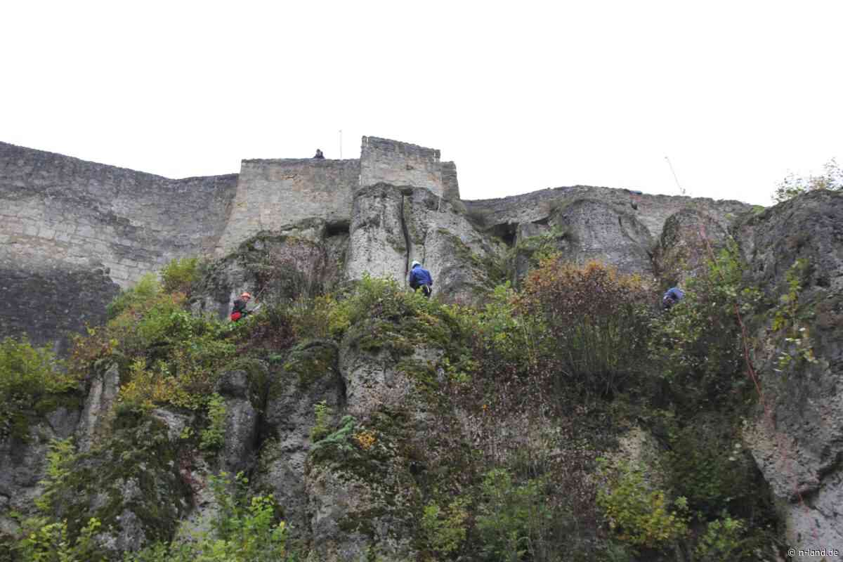 Entbuschungsaktion an der Burg Hohenstein - N-Land.de